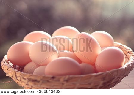 Organic Eggs In Wicker Basket, Sunshine Outdoor, Close Up View