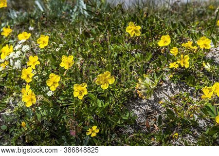 Hiking From The Mountain Station To The Top Of The Mountain Called Wendelstein In Bavaria, Germany A