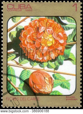 Saint Petersburg, Russia - September 18, 2020: Postage Stamp Issued In The Cuba The Image Of The Bro