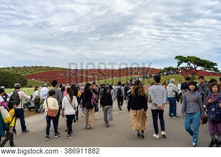 Ibaraki Prefecture, Japan - Oct 20, 2019 : Crowded People Going To The Miharashi Hill To See The Red