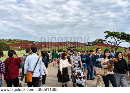 Ibaraki Prefecture, Japan - Oct 20, 2019 : Crowded People Going To The Miharashi Hill To See The Red
