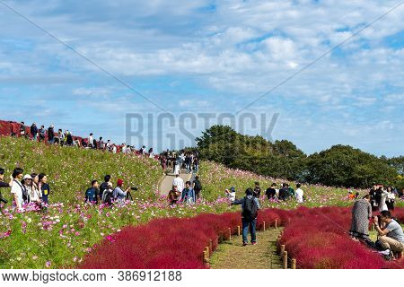 Ibaraki Prefecture, Japan - Oct 20, 2019 : Crowded People Going To The Miharashi Hill To See The Red