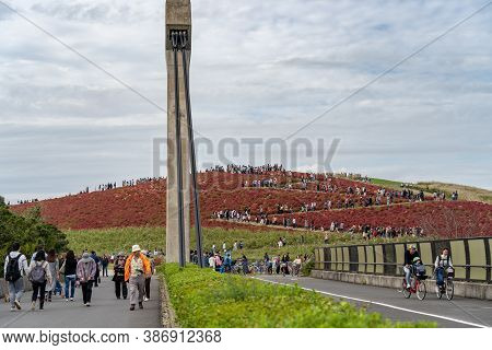 Ibaraki Prefecture, Japan - Oct 20, 2019 : Crowded People Going To The Miharashi Hill To See The Red