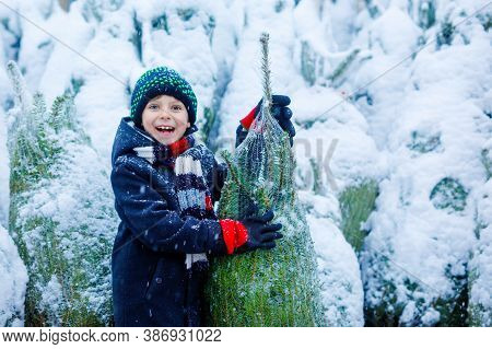 Funny Little Smiling Kid Boy Holding Christmas Tree. Happy Child In Winter Fashion Clothes Choosing 