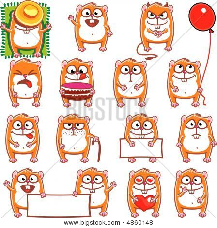 แฮมสเตอร์