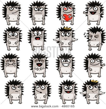 Hedgehogs