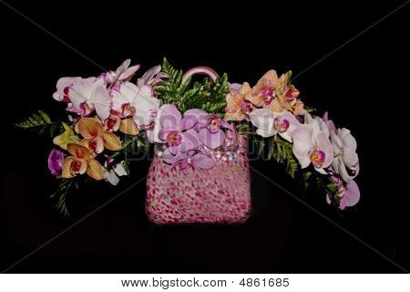 Orchideeën