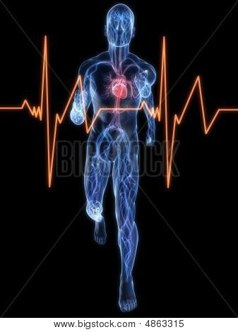 Jogger ระบบหลอดเลือด