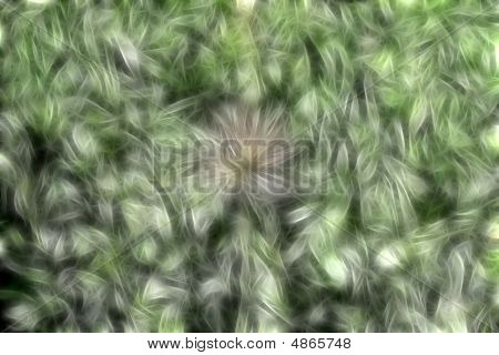 Abstrakt blomst baggrund