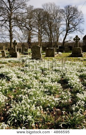 Baddesley Clinton ejendom