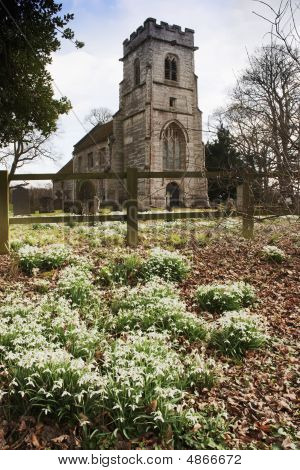 Baddesley Clinton ejendom