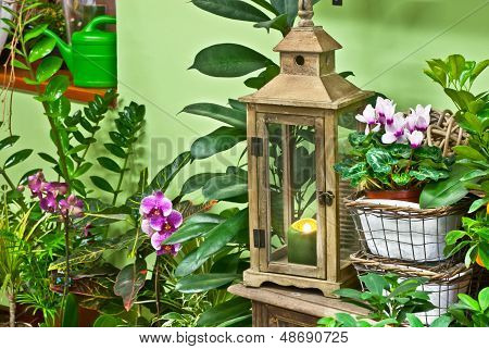 Numa loja de flores