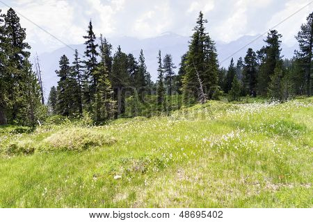Un'immagine di un paesaggio bello a Beatenberg Svizzera