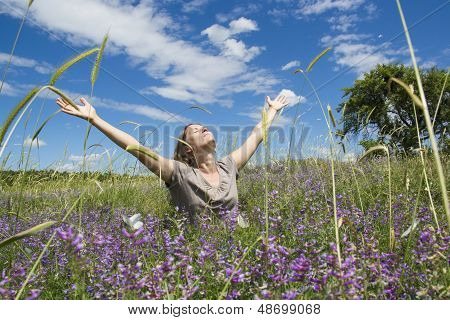 Spring Joy