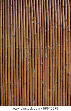 Bamboo wall background