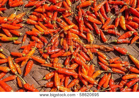 red hot chili pepper