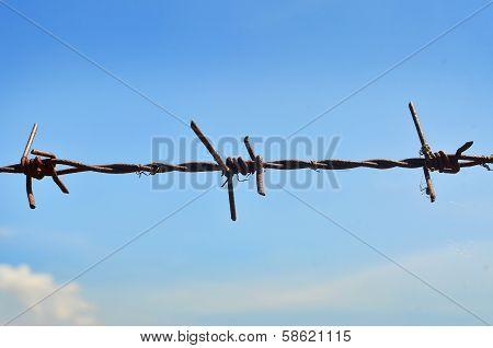 Barbed wire on sky