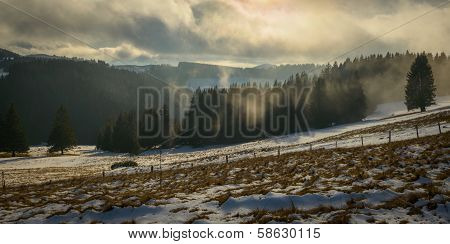 Landscape