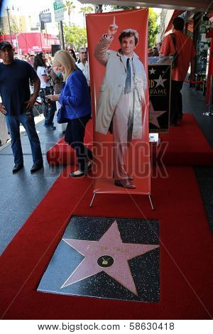 Peter Falk Star on the Walk of Fame at the Peter Falk Star on the Hollywood Walk of Fame Ceremony, Hollywood, CA 07-25-13