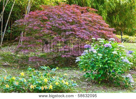 Beautiful Summer City Park