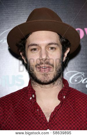 Adam Brody at the 
