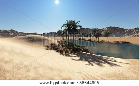 Oasis