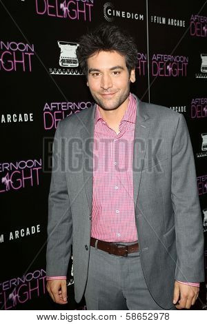 Josh Radnor at the 
