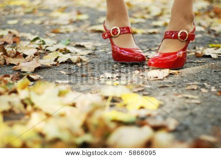 Loof en rode schoenen