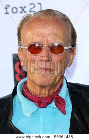 Peter Weller at the 