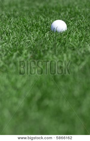 Grönt gräs och golfboll