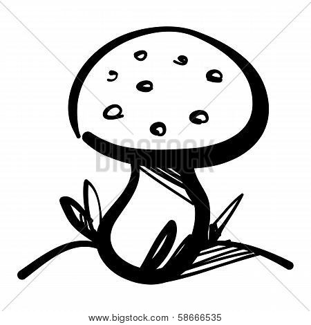 Mushroom