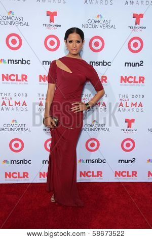 Rocsi Diaz at the 2013 NCLR ALMA Awards Arrivals, Pasadena Civic Auditorium, Pasadena, CA 09-27-13