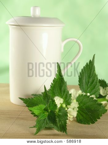 Herbal Tea - Nettle