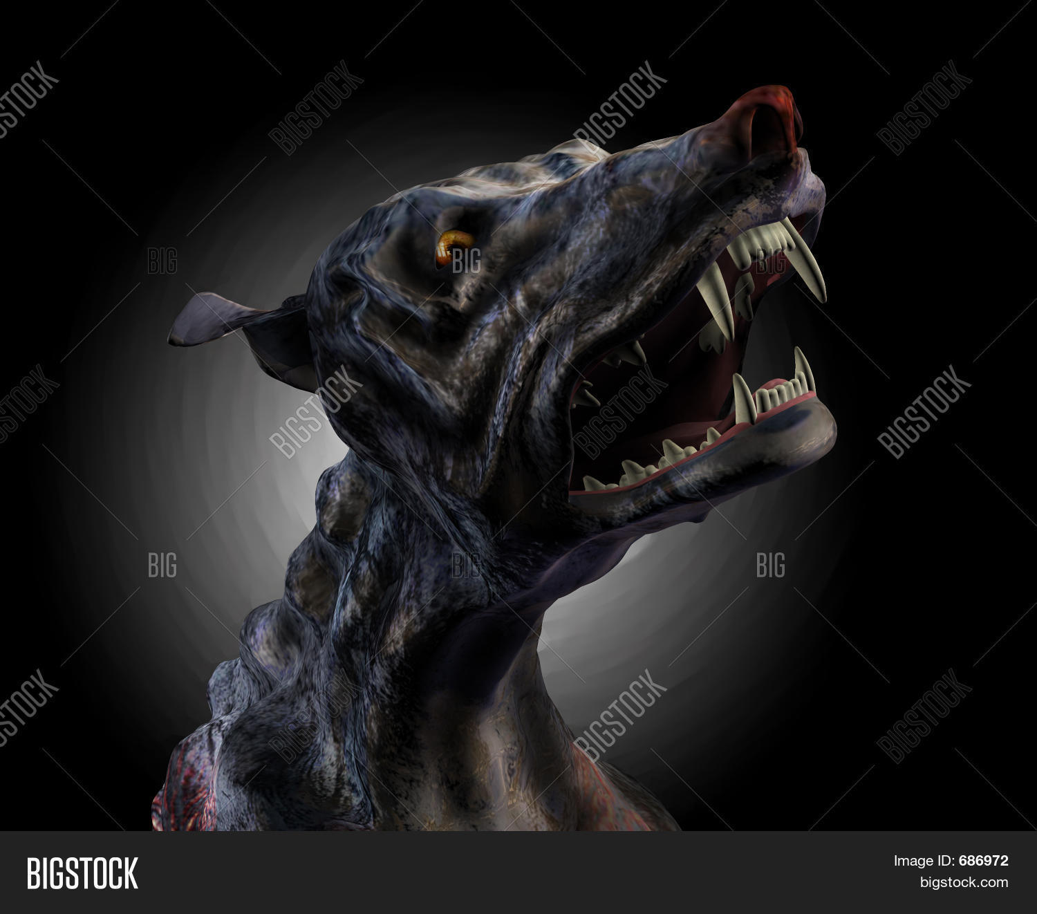 Image Preview