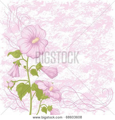 Holiday background with mallow flowers