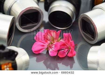 Blumen- und Ziele der Foto-Kameras