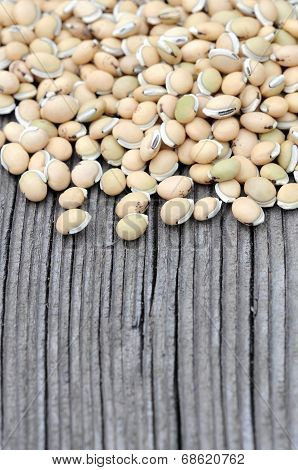 Lablab Purpureus Bean