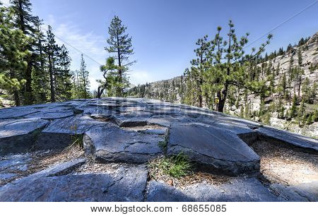 Top Of Basalt Formations At Devil's Postpile National Monument