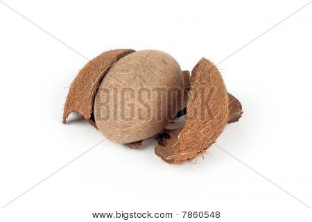Brudt kokos