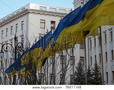 Ukrainian flag on a background of the presidential administratio
