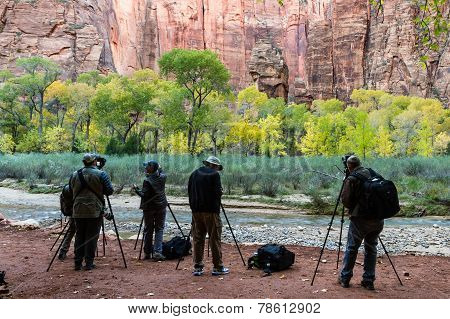 autumn photographers in Zion NP