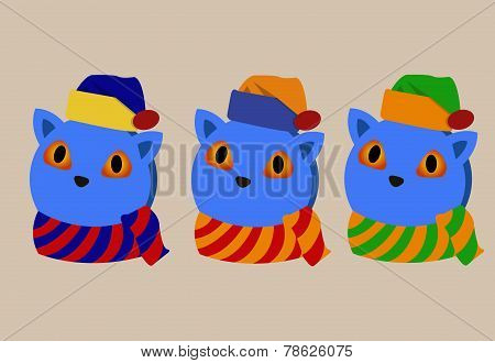 Cats