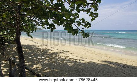 Las Terenas