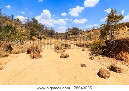 Dry Riverbed Landscape On A Warm Sunny Day