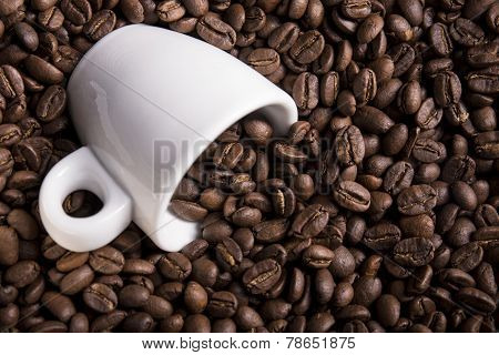 Roasted Coffee Beans