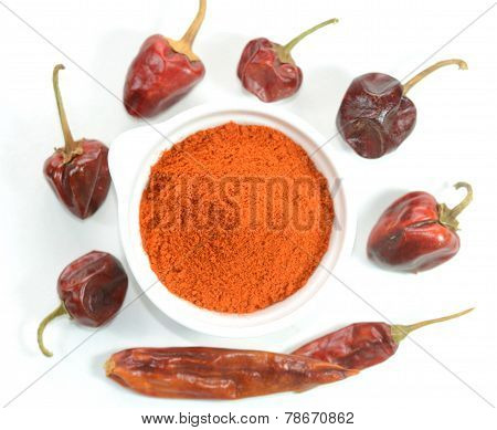 Red chilli pepper and powder