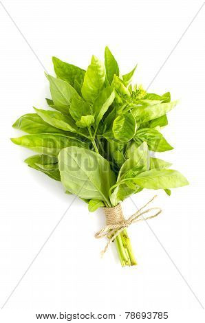 basil