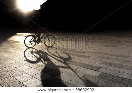 Back Lit Cyclist