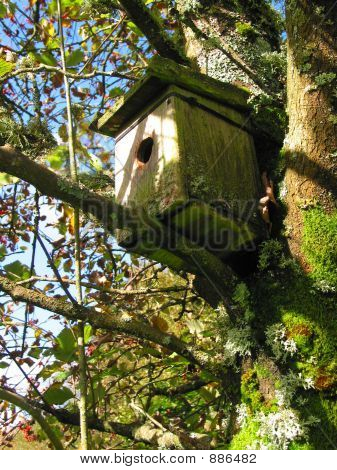 BIRDBOX