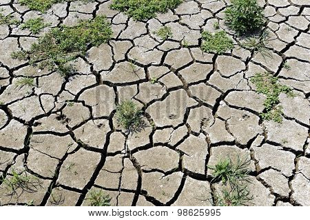 Cracked ground